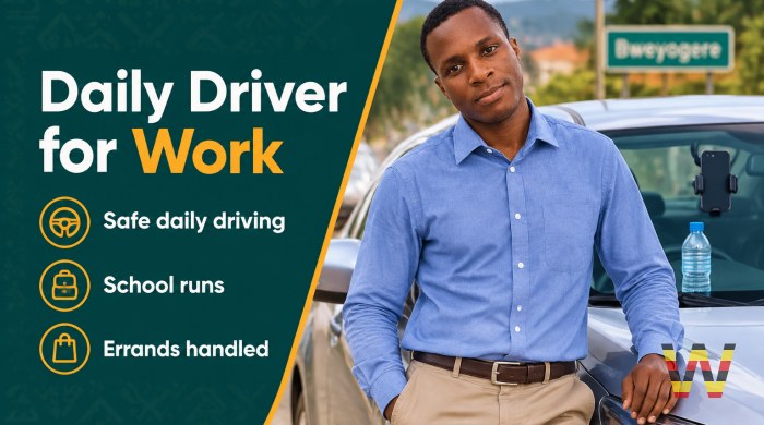 I will drive you to work and back daily
