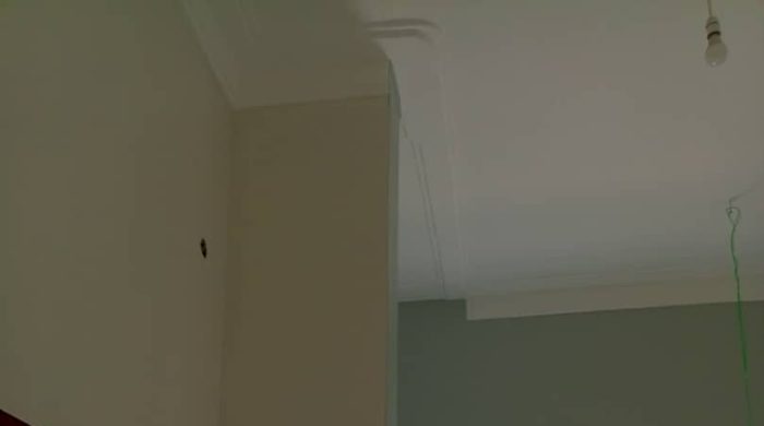 I Will Paint & Restore Your Ceilings, Cornices & Trim